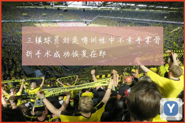 三镇球员刘奕鸣训练中不幸手掌骨折手术成功恢复在即