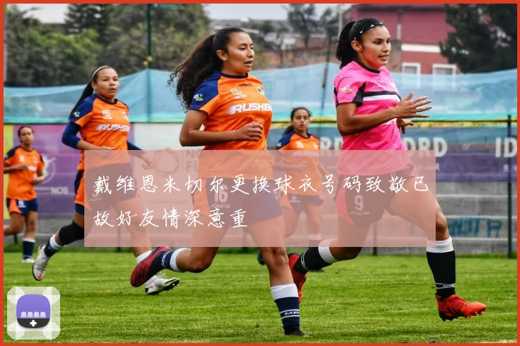 戴维恩米切尔更换球衣号码致敬已故好友情深意重